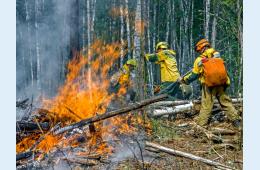 15.11.2022 Внимание: лесные пожары! | Администрация муниципального округа город Партизанск Приморского края Официальный сайт