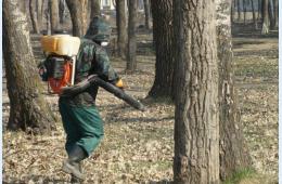 15.04.2024 На этой неделе в округе начнется  обработка территорий от клещей | Администрация муниципального округа город Партизанск Приморского края Официальный сайт