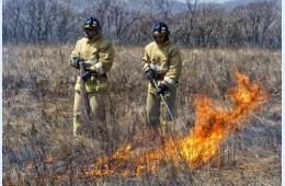 19.03.2024 За неделю – 9 пожаров | Администрация муниципального округа город Партизанск Приморского края Официальный сайт