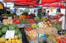 05.07.2022 Продуктовая выставка-ярмарка развернется в столице Приморья в сентябре, сообщает  www.primorsky.ru | Администрация муниципального округа город Партизанск Приморского края Официальный сайт