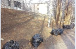 05.04.2024 Сегодня – общегородской субботник!  | Администрация муниципального округа город Партизанск Приморского края Официальный сайт