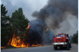02.03.2023 Готовимся  к пожароопасному сезону. | Администрация муниципального округа город Партизанск Приморского края Официальный сайт