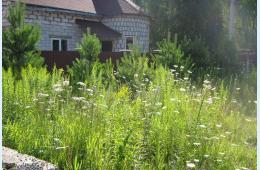 24.08.2022 Не скосил траву - заплати штраф | Администрация муниципального округа город Партизанск Приморского края Официальный сайт