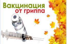 22.09.2022 Жителям напоминают об опасности гриппа и ОРВИ | Администрация муниципального округа город Партизанск Приморского края Официальный сайт