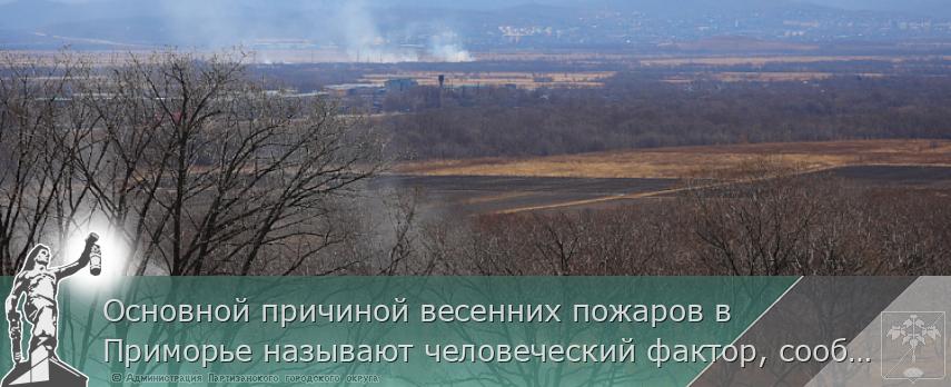 Основной причиной весенних пожаров в Приморье называют человеческий фактор, сообщает www.primorsky.ru | Администрация муниципального округа город Партизанск Приморского края Официальный сайт Основной причиной весенних пожаров в Приморье называют человеческий фактор, сообщает www.primorsky.ru | Администрация муниципального округа город Партизанск Приморского края Официальный сайт