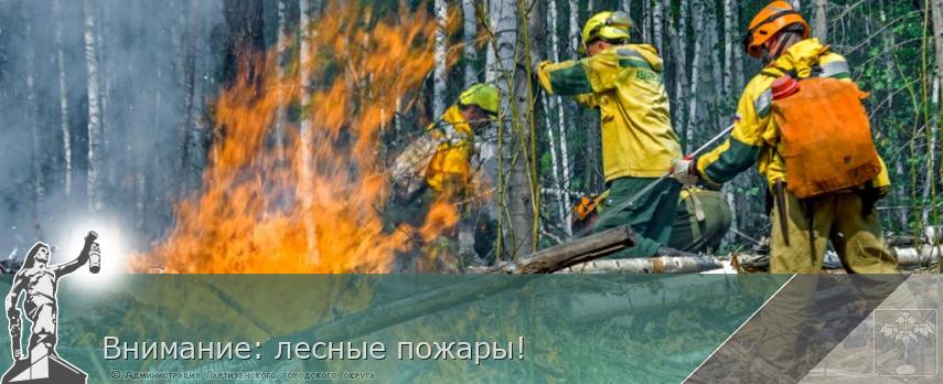 Внимание: лесные пожары! | Администрация муниципального округа город Партизанск Приморского края Официальный сайт