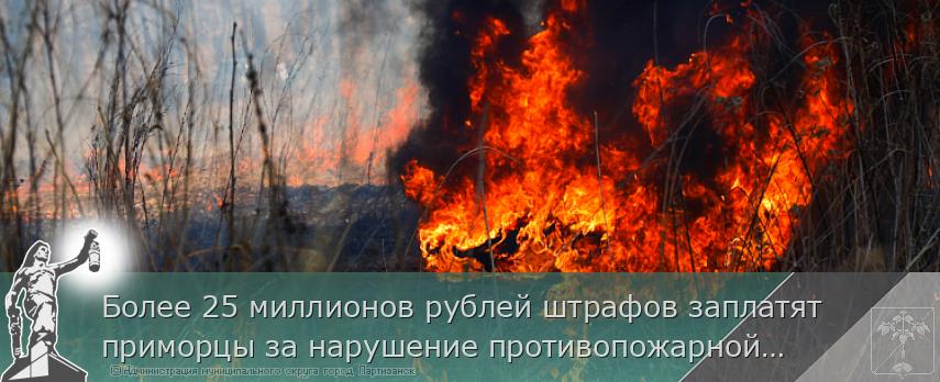 Более 25 миллионов рублей штрафов заплатят приморцы за нарушение противопожарной безопасности на природе  | Администрация муниципального округа город Партизанск Приморского края Официальный сайт