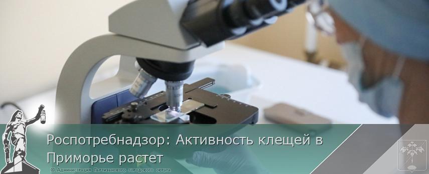 Роспотребнадзор: Активность клещей в Приморье растет | Администрация муниципального округа город Партизанск Приморского края Официальный сайт Роспотребнадзор: Активность клещей в Приморье растет | Администрация муниципального округа город Партизанск Приморского края Официальный сайт