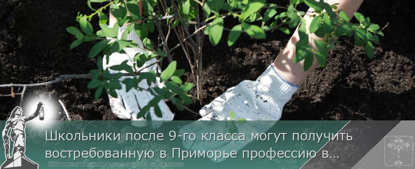 Школьники после 9-го класса могут получить востребованную в Приморье профессию в лесной отрасли | Администрация муниципального округа город Партизанск Приморского края Официальный сайт Школьники после 9-го класса могут получить востребованную в Приморье профессию в лесной отрасли | Администрация муниципального округа город Партизанск Приморского края Официальный сайт