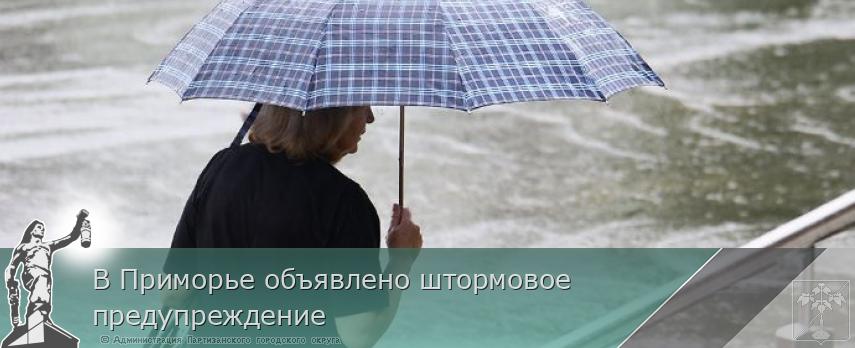 В Приморье объявлено штормовое предупреждение  | Администрация муниципального округа город Партизанск Приморского края Официальный сайт В Приморье объявлено штормовое предупреждение  | Администрация муниципального округа город Партизанск Приморского края Официальный сайт