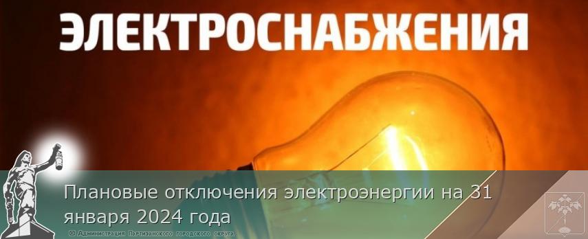 Плановые отключения электроэнергии на 31 января 2024 года | Администрация муниципального округа город Партизанск Приморского края Официальный сайт