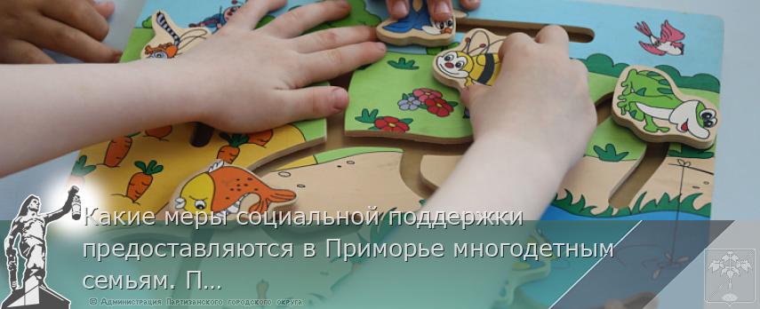 Какие меры социальной поддержки предоставляются в Приморье многодетным семьям. ПАМЯТКА | Администрация муниципального округа город Партизанск Приморского края Официальный сайт Какие меры социальной поддержки предоставляются в Приморье многодетным семьям. ПАМЯТКА | Администрация муниципального округа город Партизанск Приморского края Официальный сайт