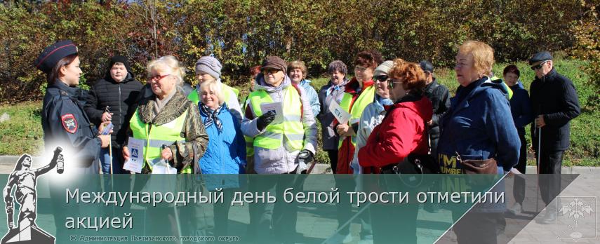 Международный день белой трости отметили акцией | Администрация муниципального округа город Партизанск Приморского края Официальный сайт Международный день белой трости отметили акцией | Администрация муниципального округа город Партизанск Приморского края Официальный сайт