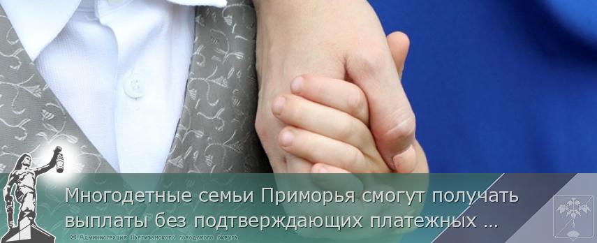 Многодетные семьи Приморья смогут получать выплаты без подтверждающих платежных документов, сообщает www.primorsky.ru