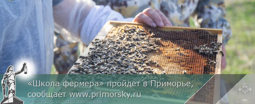 «Школа фермера» пройдет в Приморье, сообщает www.primorsky.ru | Администрация муниципального округа город Партизанск Приморского края Официальный сайт «Школа фермера» пройдет в Приморье, сообщает www.primorsky.ru | Администрация муниципального округа город Партизанск Приморского края Официальный сайт