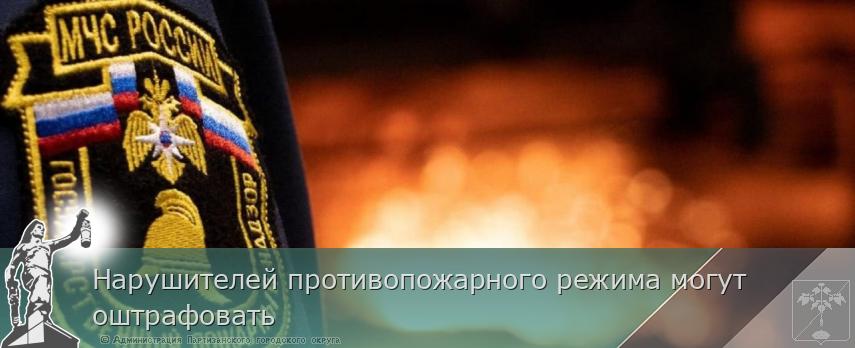 Нарушителей противопожарного режима могут оштрафовать  | Администрация муниципального округа город Партизанск Приморского края Официальный сайт