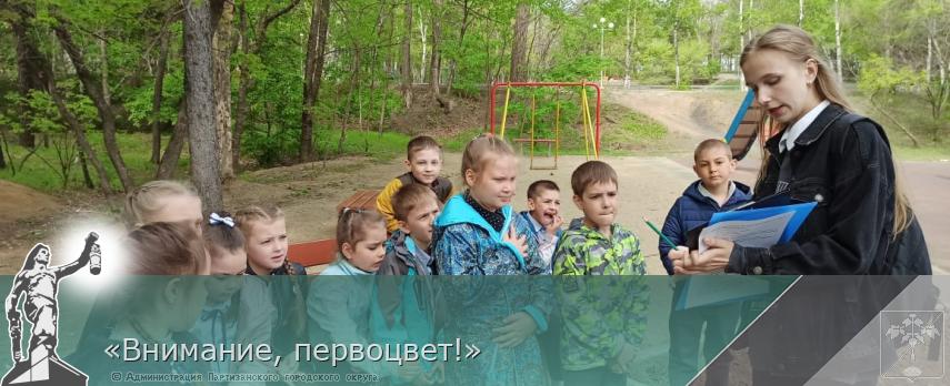 «Внимание, первоцвет!» | Администрация муниципального округа город Партизанск Приморского края Официальный сайт