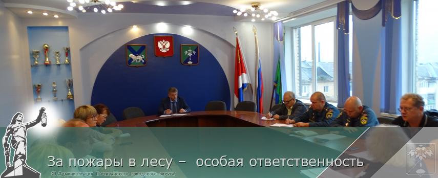 За пожары в лесу –  особая ответственность  | Администрация муниципального округа город Партизанск Приморского края Официальный сайт