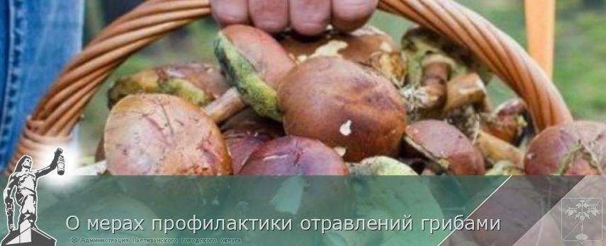О мерах профилактики отравлений грибами | Администрация муниципального округа город Партизанск Приморского края Официальный сайт О мерах профилактики отравлений грибами | Администрация муниципального округа город Партизанск Приморского края Официальный сайт