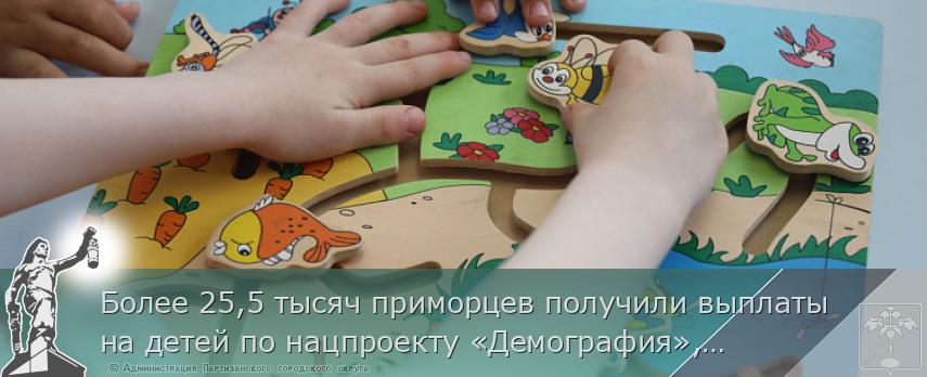 Более 25,5 тысяч приморцев получили выплаты на детей по нацпроекту «Демография», сообщает www.primorsky.ru