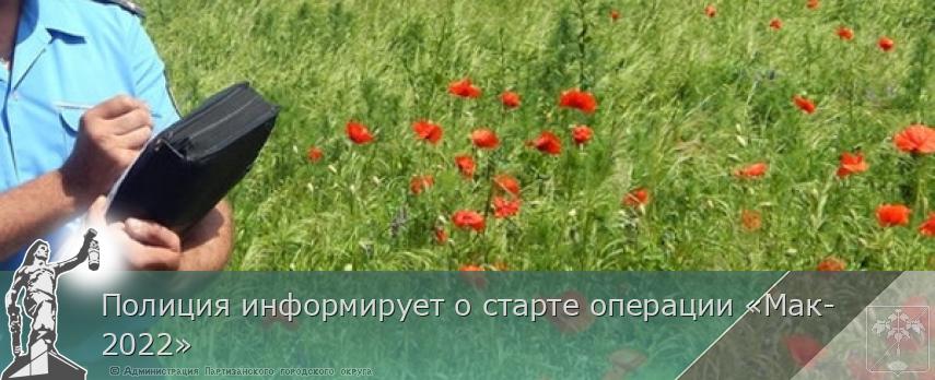 Полиция информирует о старте операции «Мак-2022» | Администрация муниципального округа город Партизанск Приморского края Официальный сайт