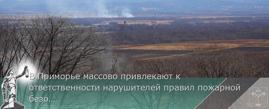 В Приморье массово привлекают к ответственности нарушителей правил пожарной безопасности в лесах, сообщает www.primorsky.ru | Администрация муниципального округа город Партизанск Приморского края Официальный сайт В Приморье массово привлекают к ответственности нарушителей правил пожарной безопасности в лесах, сообщает www.primorsky.ru | Администрация муниципального округа город Партизанск Приморского края Официальный сайт