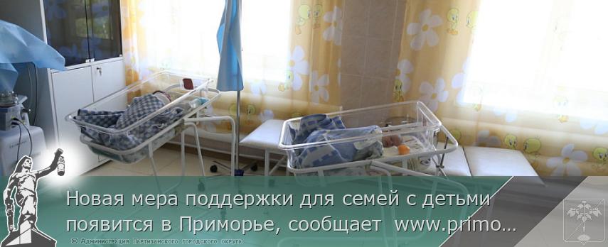 Новая мера поддержки для семей с детьми появится в Приморье, сообщает  www.primorsky.ru
