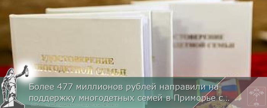 Более 477 миллионов рублей направили на поддержку многодетных семей в Приморье с начала года | Администрация муниципального округа город Партизанск Приморского края Официальный сайт