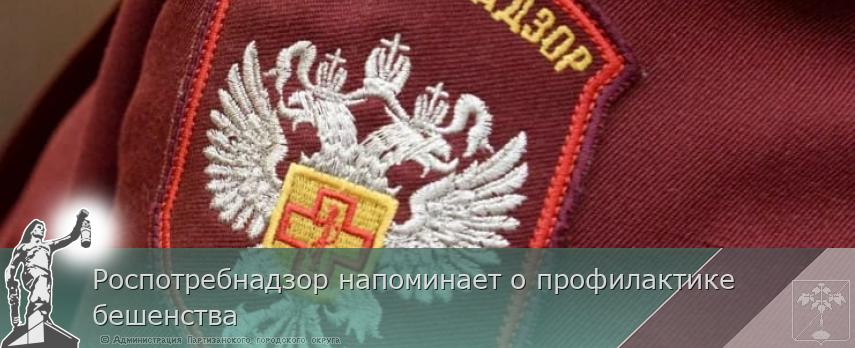 Роспотребнадзор напоминает о профилактике бешенства | Администрация муниципального округа город Партизанск Приморского края Официальный сайт Роспотребнадзор напоминает о профилактике бешенства | Администрация муниципального округа город Партизанск Приморского края Официальный сайт