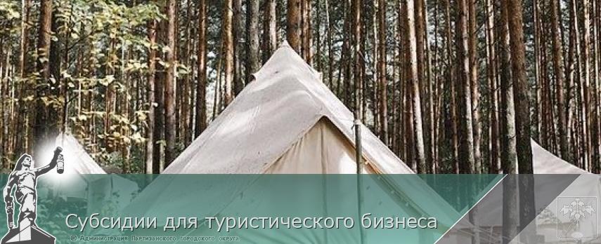 Субсидии для туристического бизнеса | Администрация муниципального округа город Партизанск Приморского края Официальный сайт
